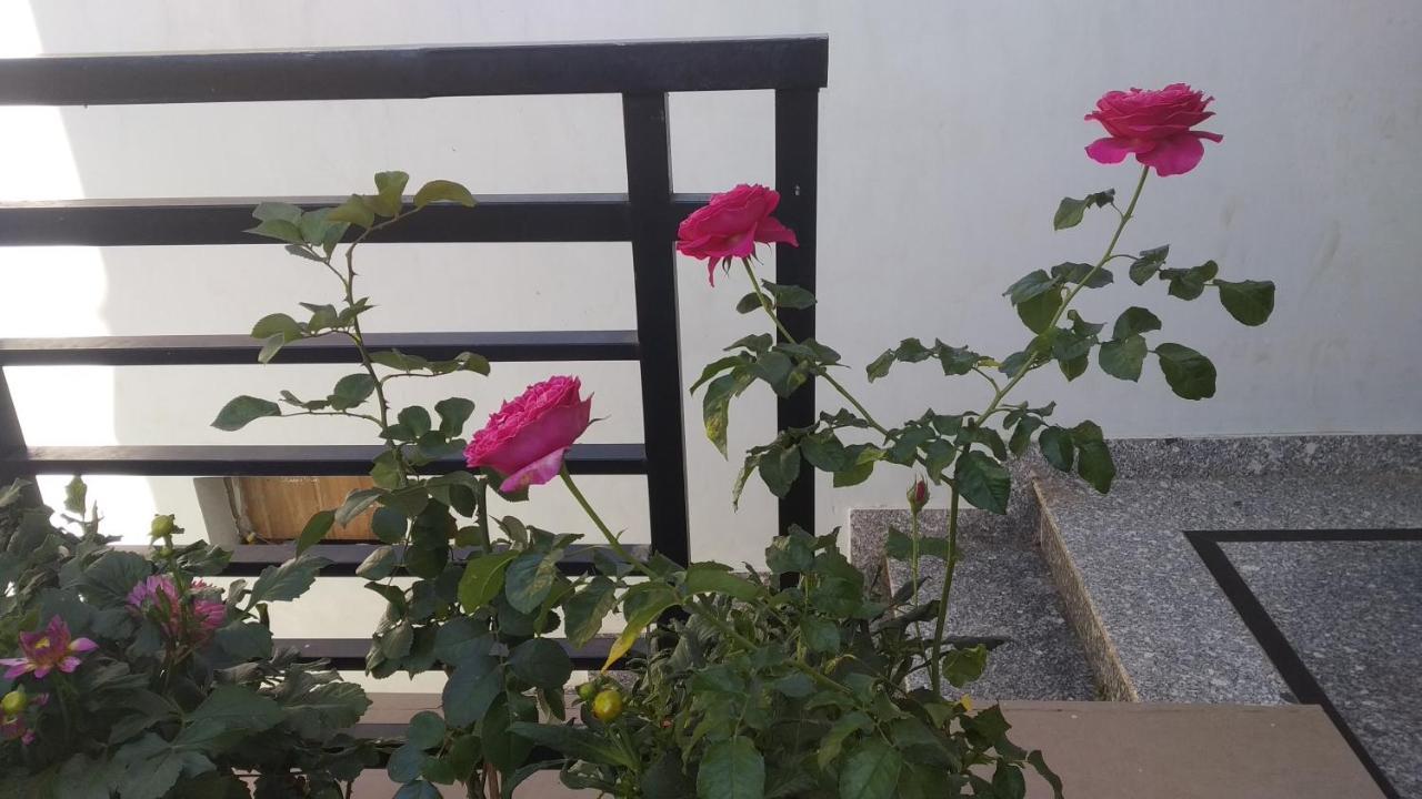 Mai Dalat Homestay Εξωτερικό φωτογραφία